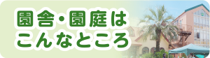園舎・園庭はこんなところ